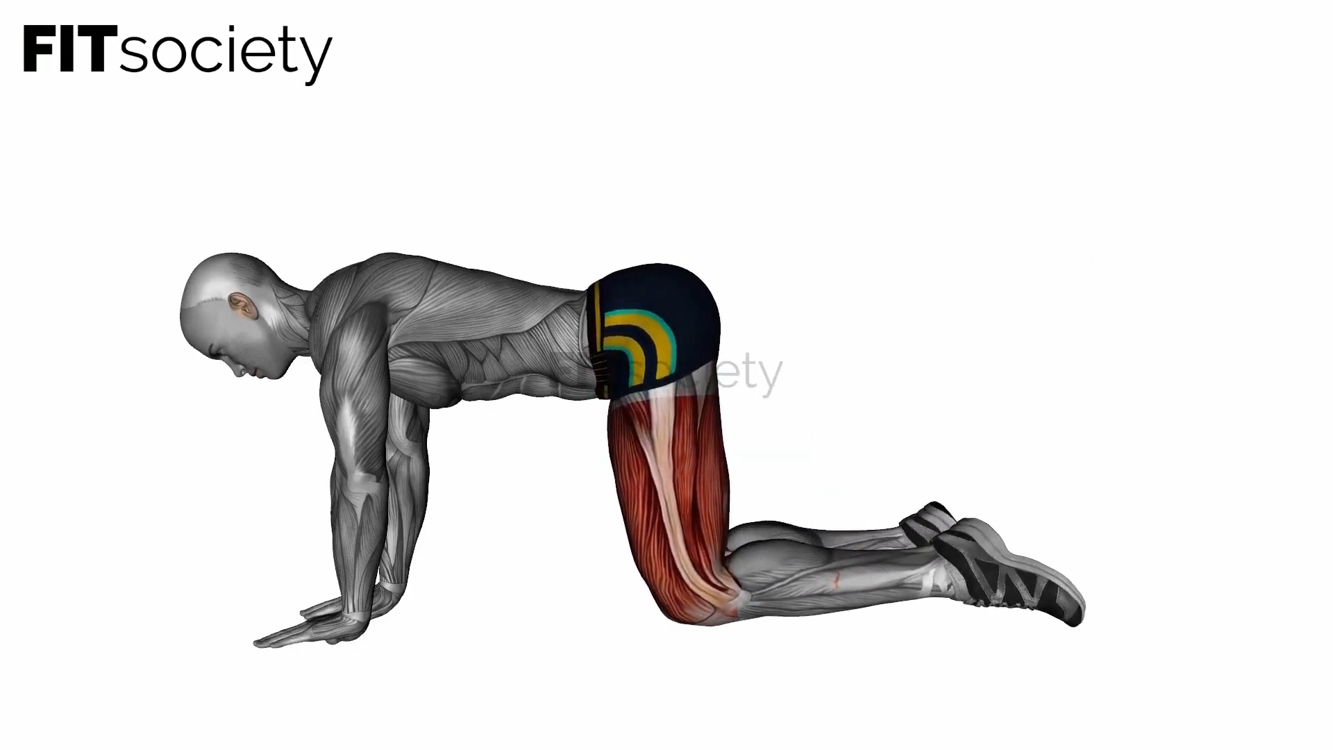 Fire Hydrant Bodyweight
