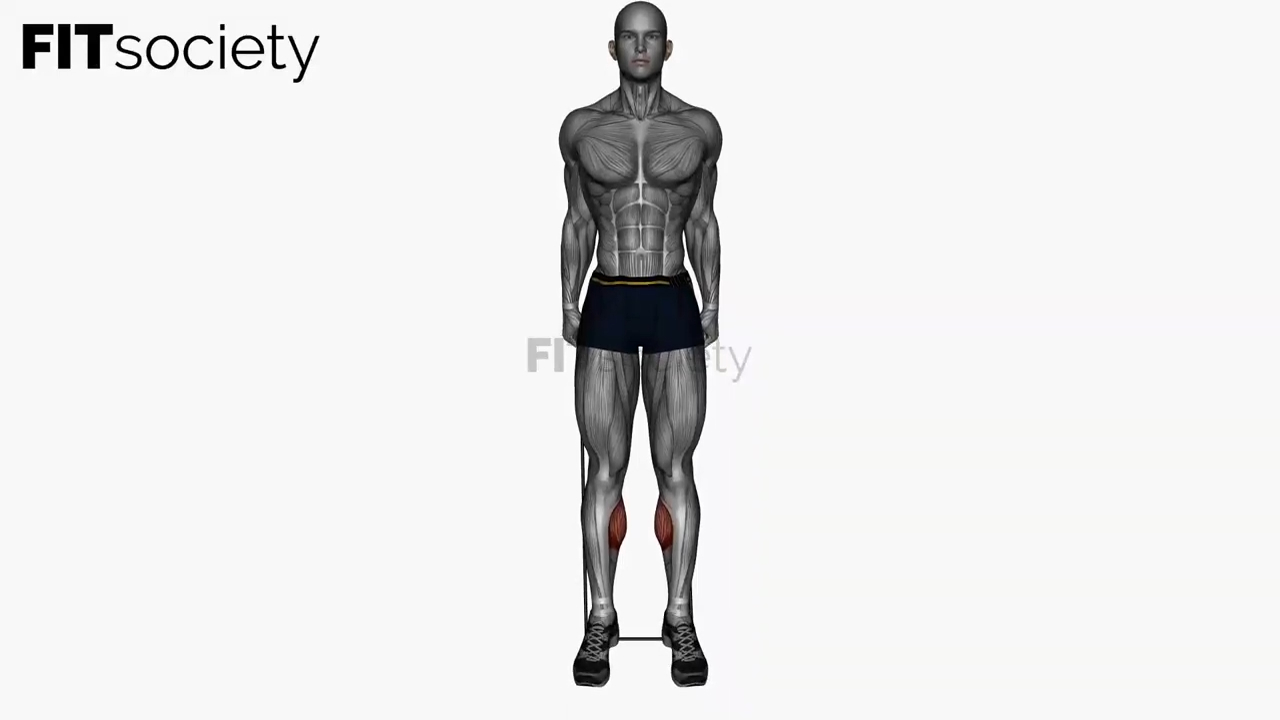 Standing Calf Raise Resistance Band