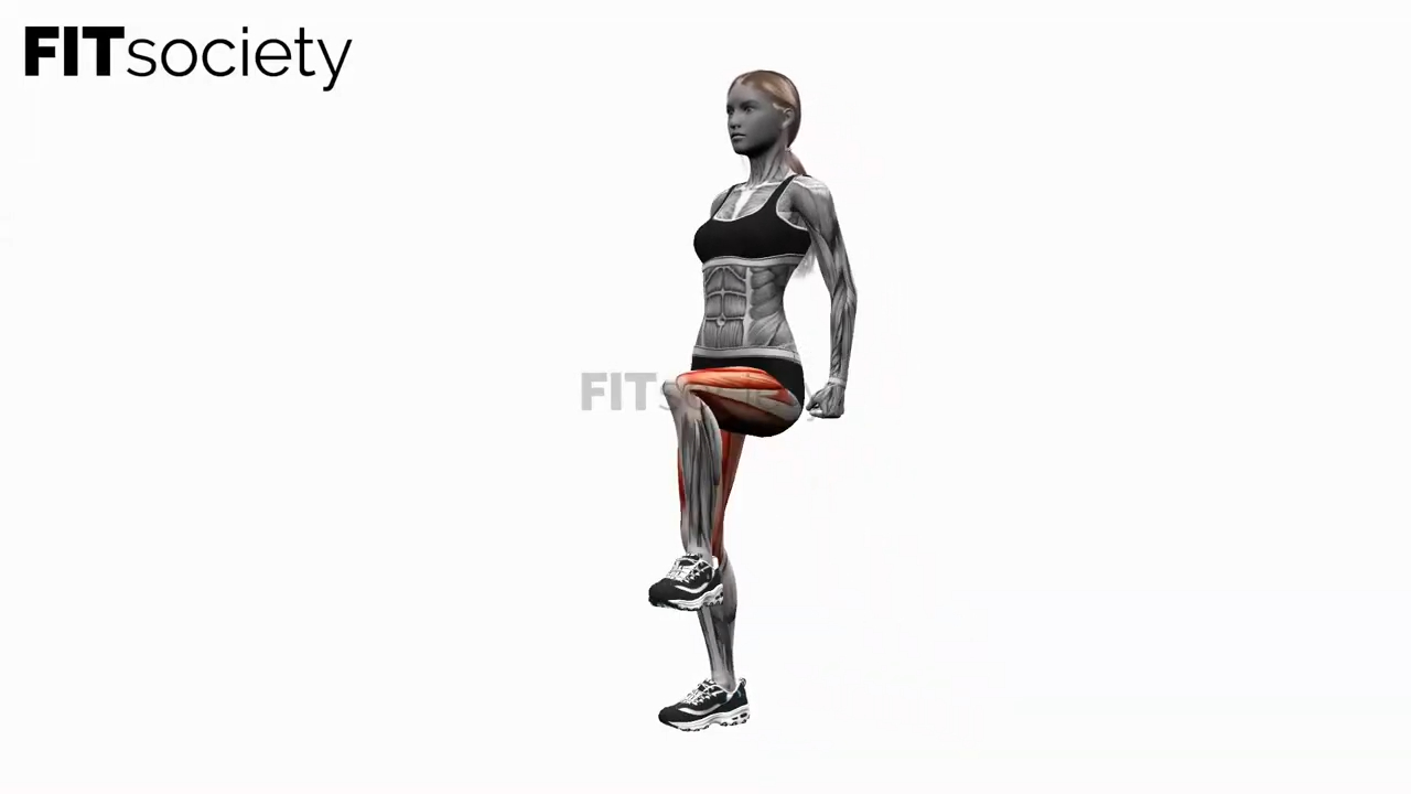 Lunge to Knee Drive Left Bodyweight