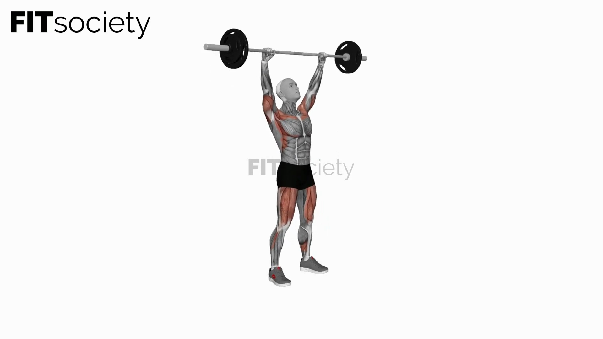Barbell Thruster Power Lifting