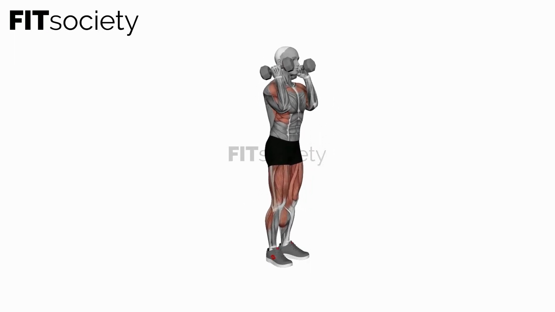 Hang Power Clean mit Kurzhanteln