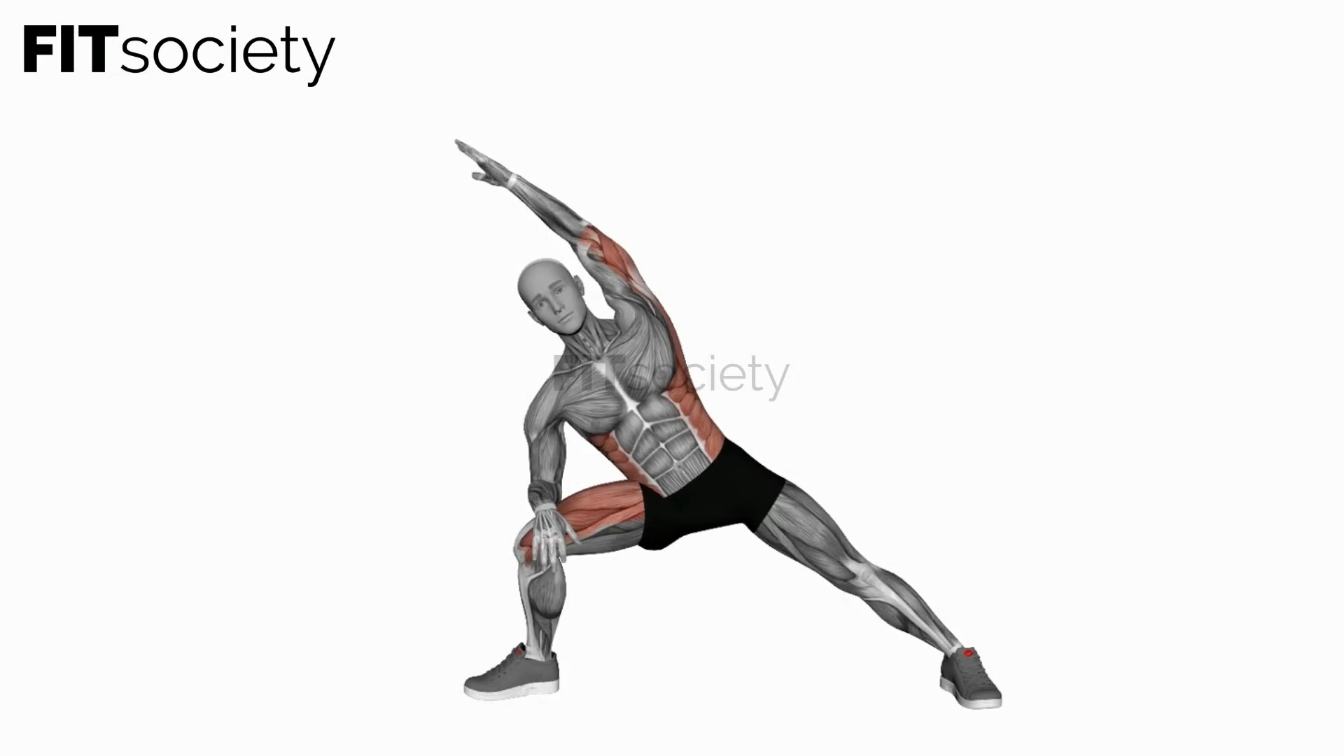 Extended Side Angle Yoga Pose