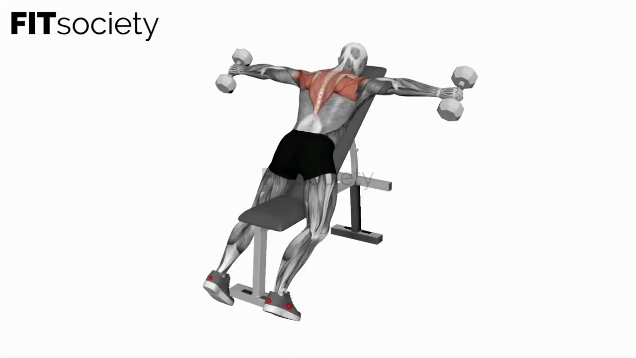 Dumbbell Incline Rear Lateral Raise