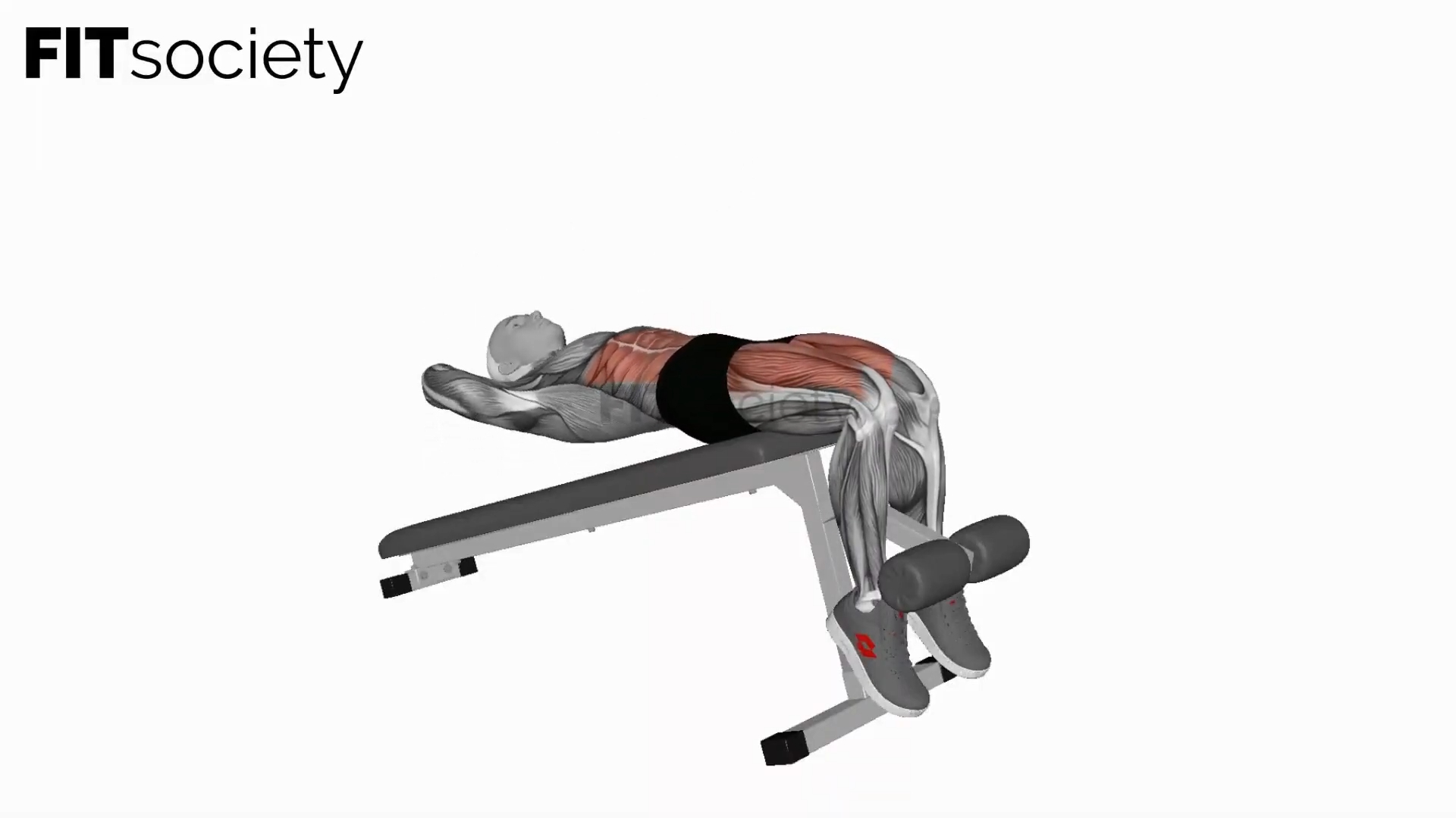 Decline Sit-Up