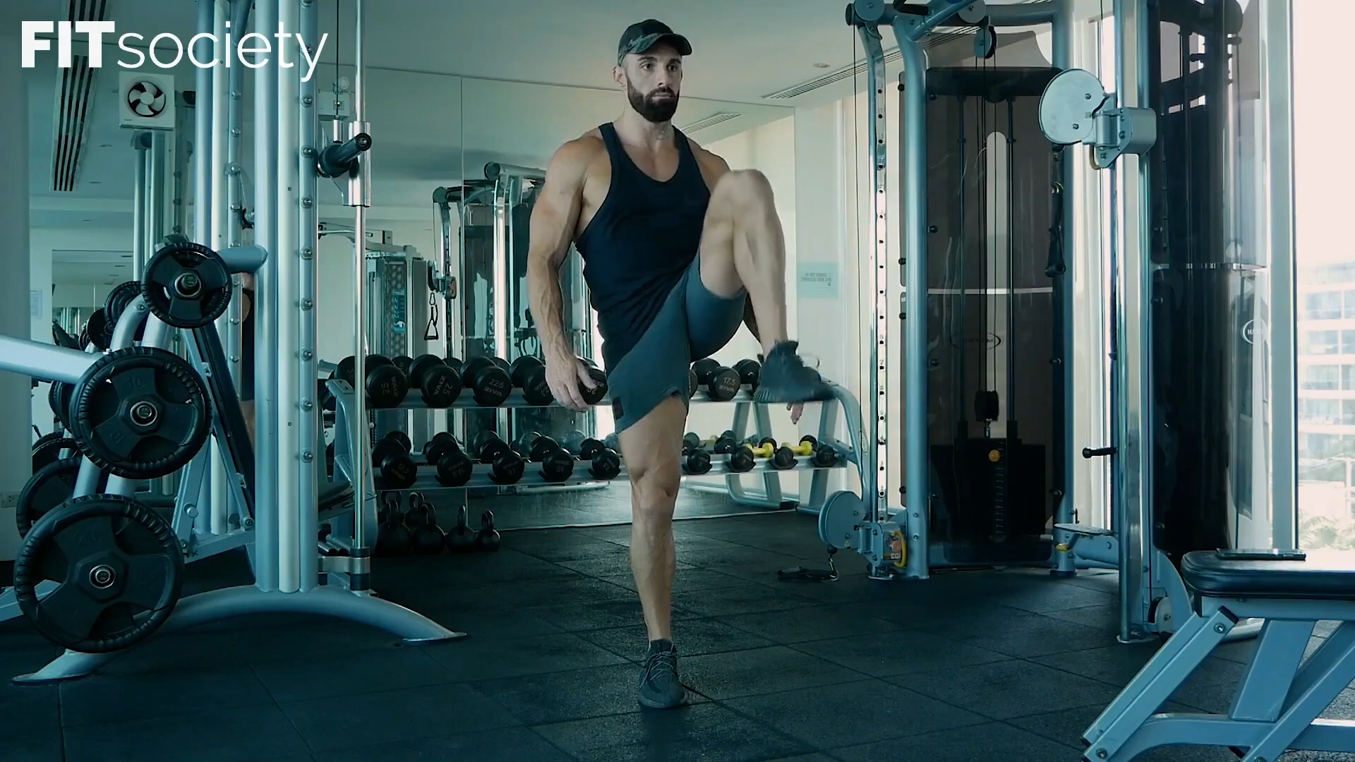 Standing Knee Raises