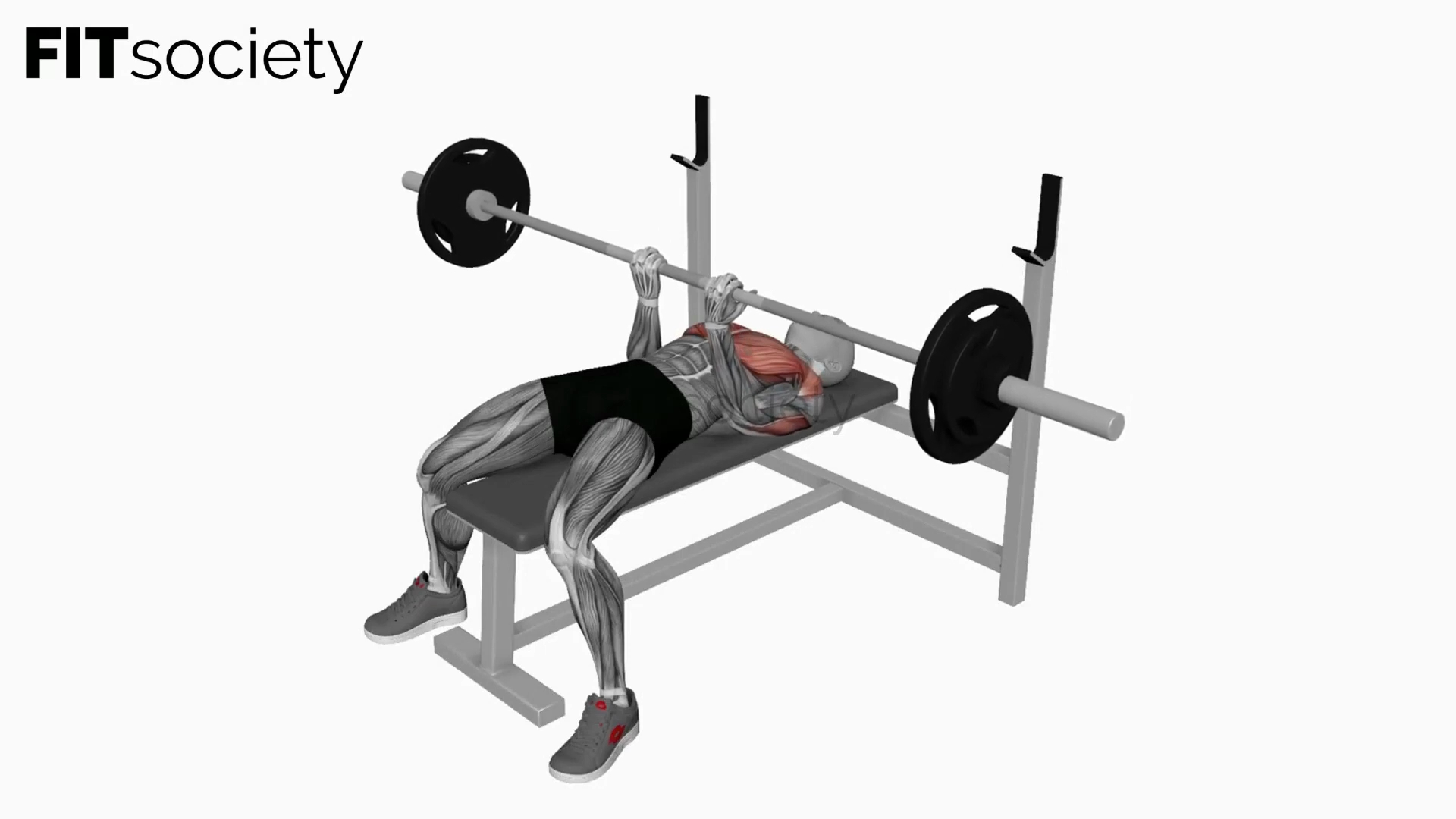 Barbell Reverse Close Grip Bench Press