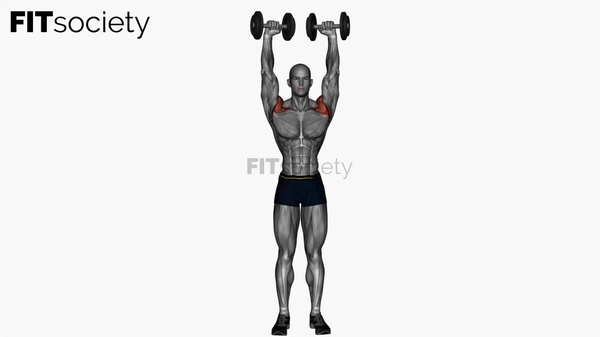 Standing Dumbbell Arnold Press
