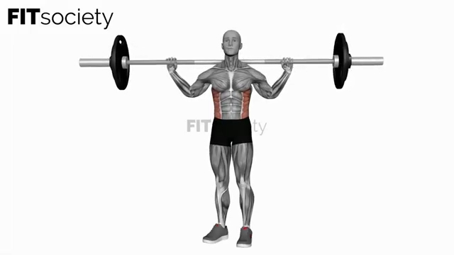 Barbell Standing Twist