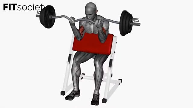 Curl au pupitre avec barre EZ