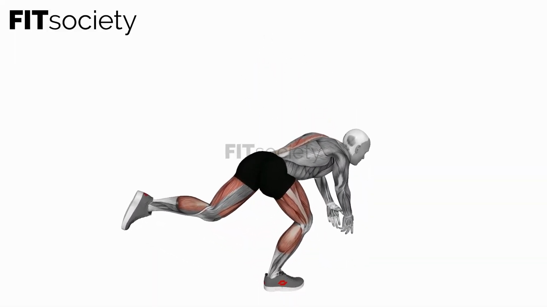 Bodyweight Single Leg Deadlift