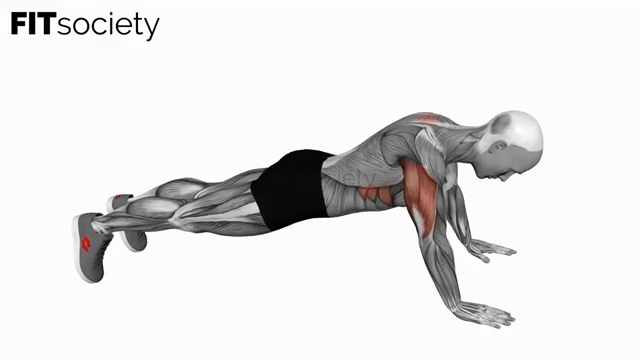 Push-Up Plus