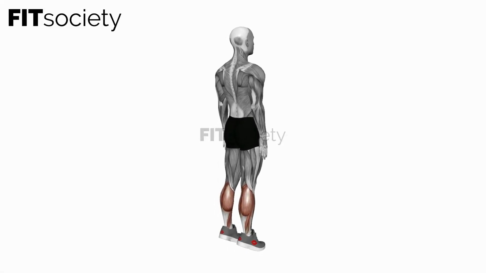 Ankle Plantar Flexion