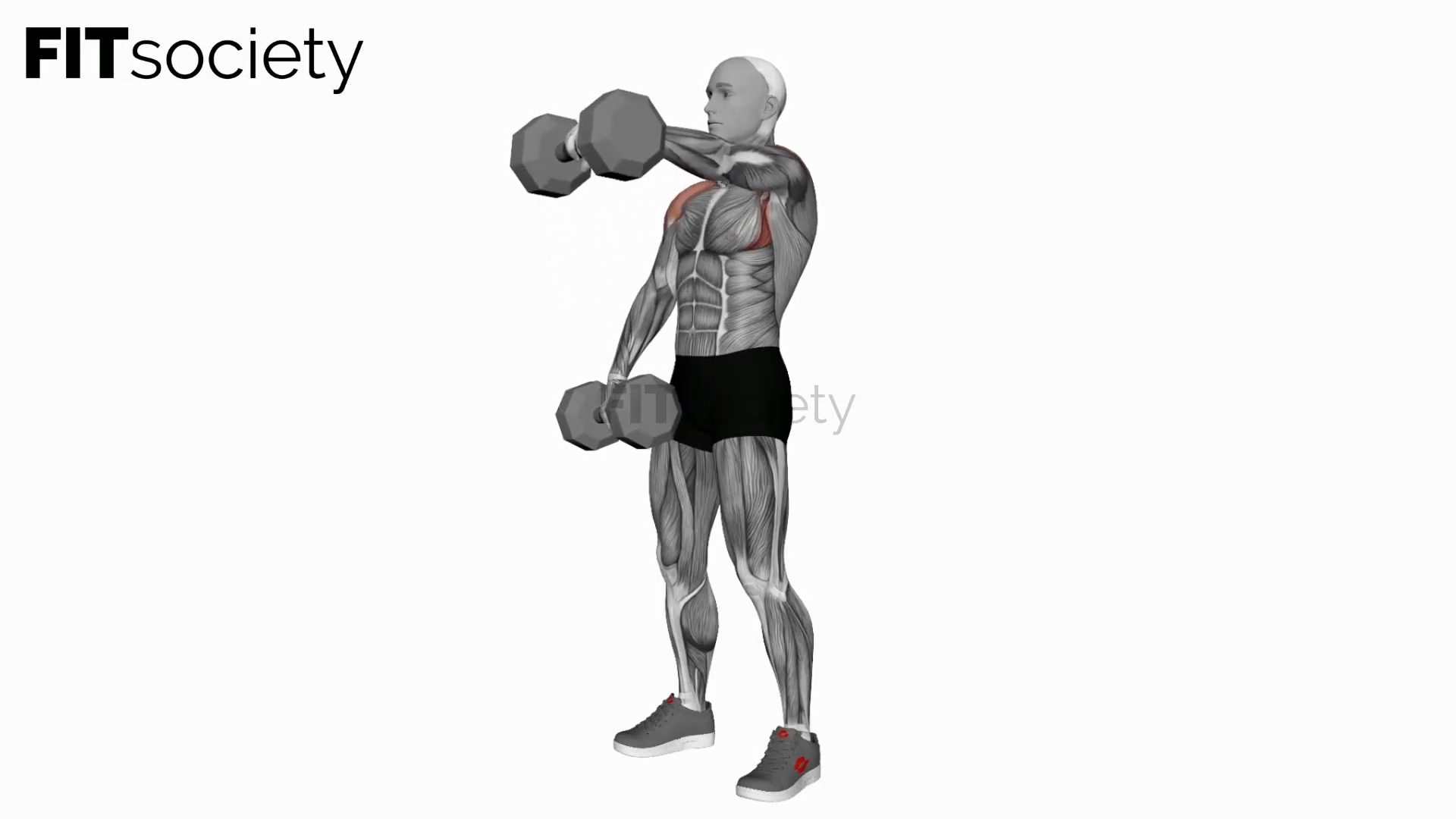 Dumbbell Standing Alternate Raise