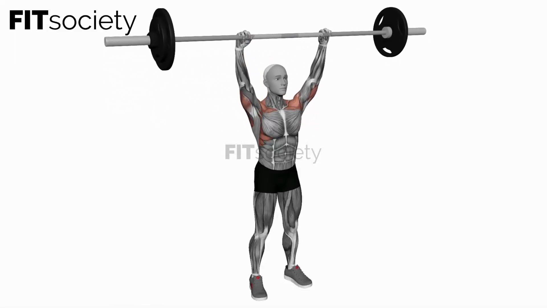 Barbell Standing Shoulder Press