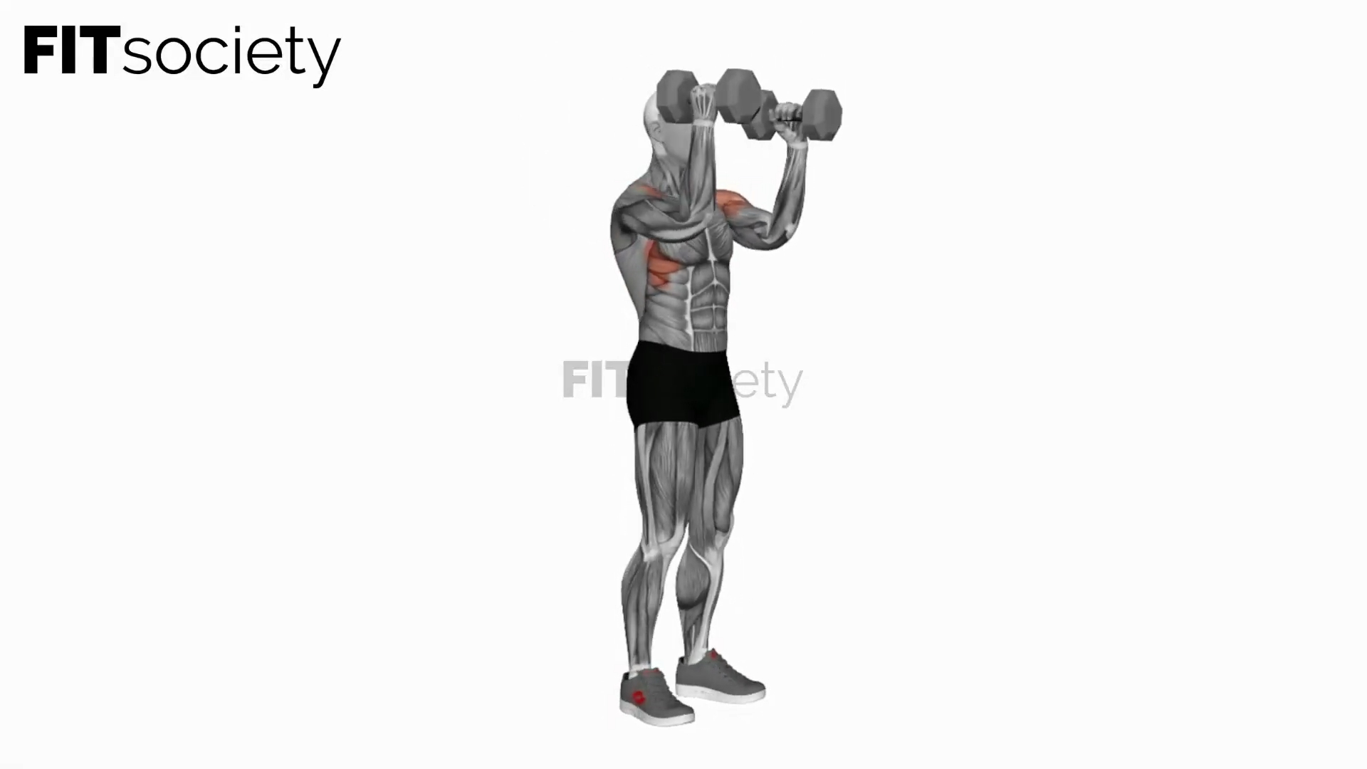 Dumbbell Scott Press (360 Degrees)
