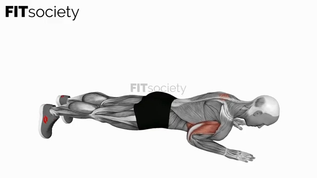 Push-Up Plus