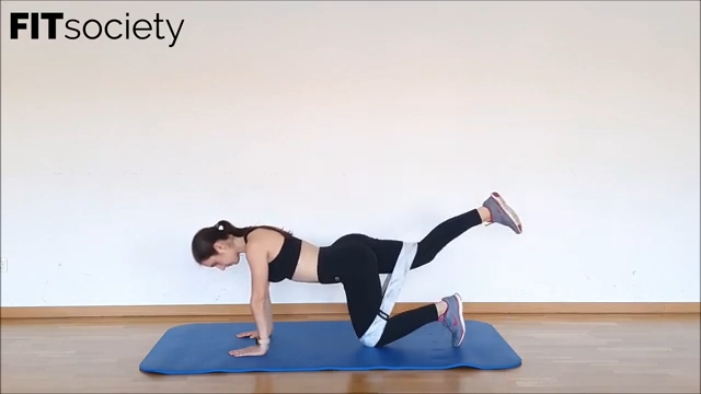 Knee Flexes
