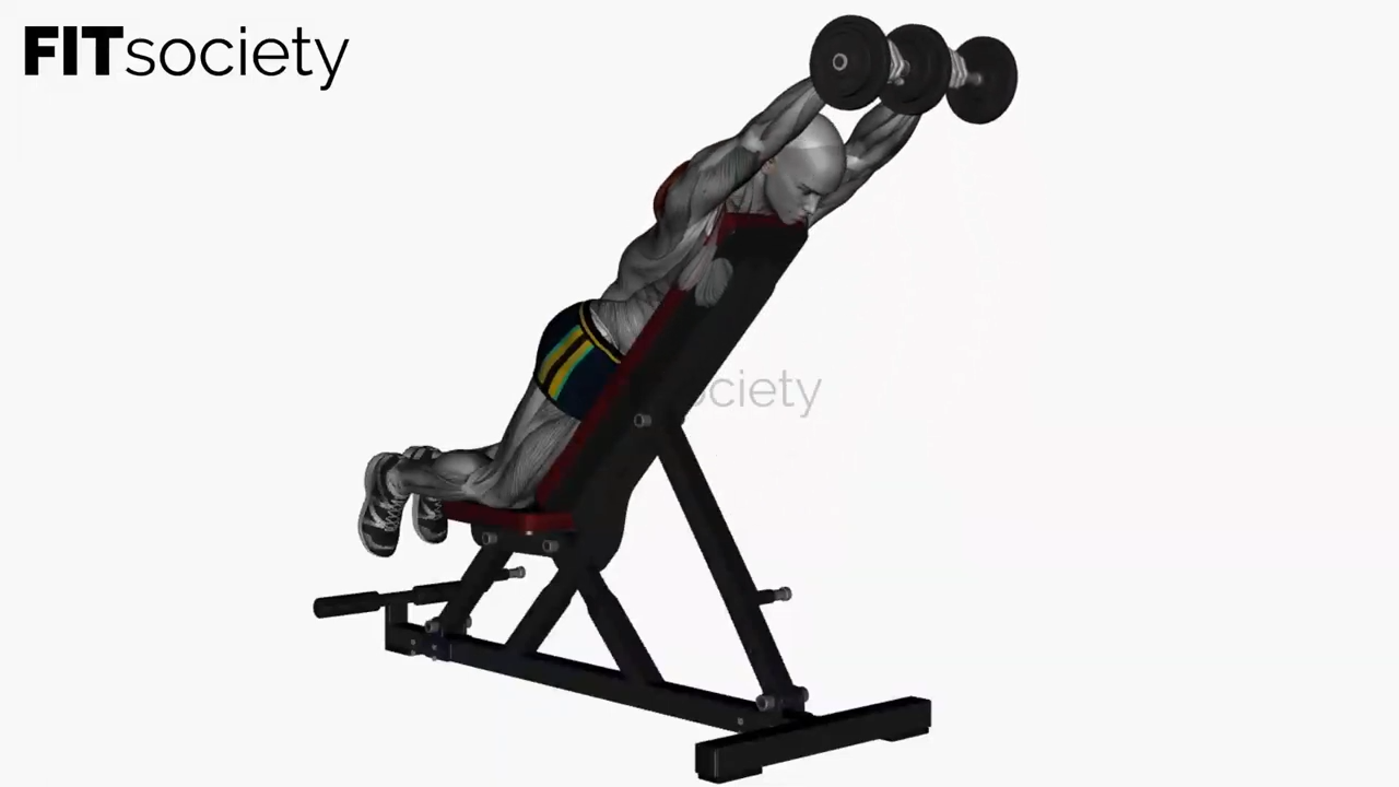 Dumbbell Prone Front Raises on Bench