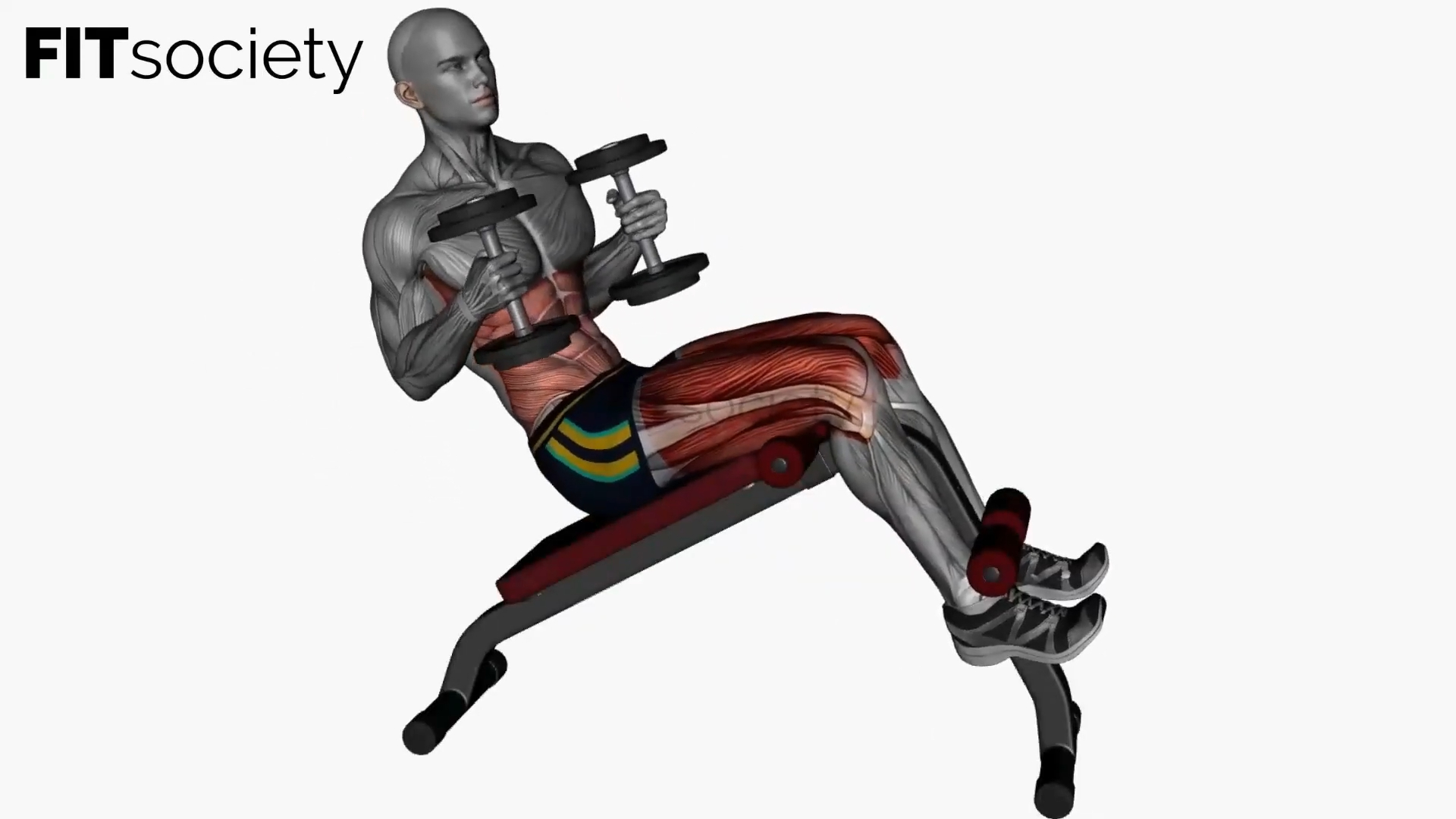 Decline Bench Oblique Crunches Dumbbells