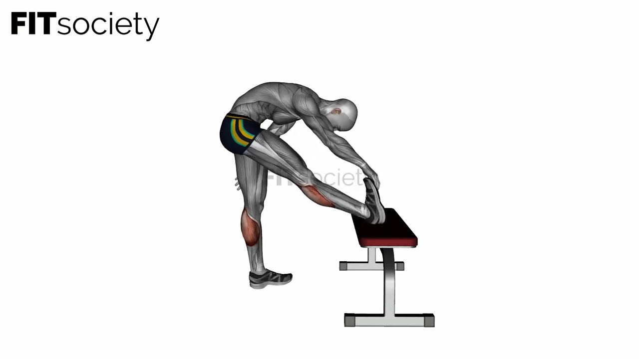 Standing Gastrocnemius Stretch