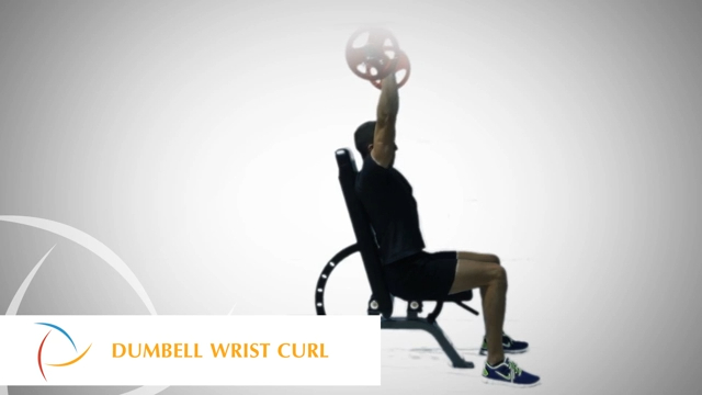 Seated EZ-Bar Triceps Extension