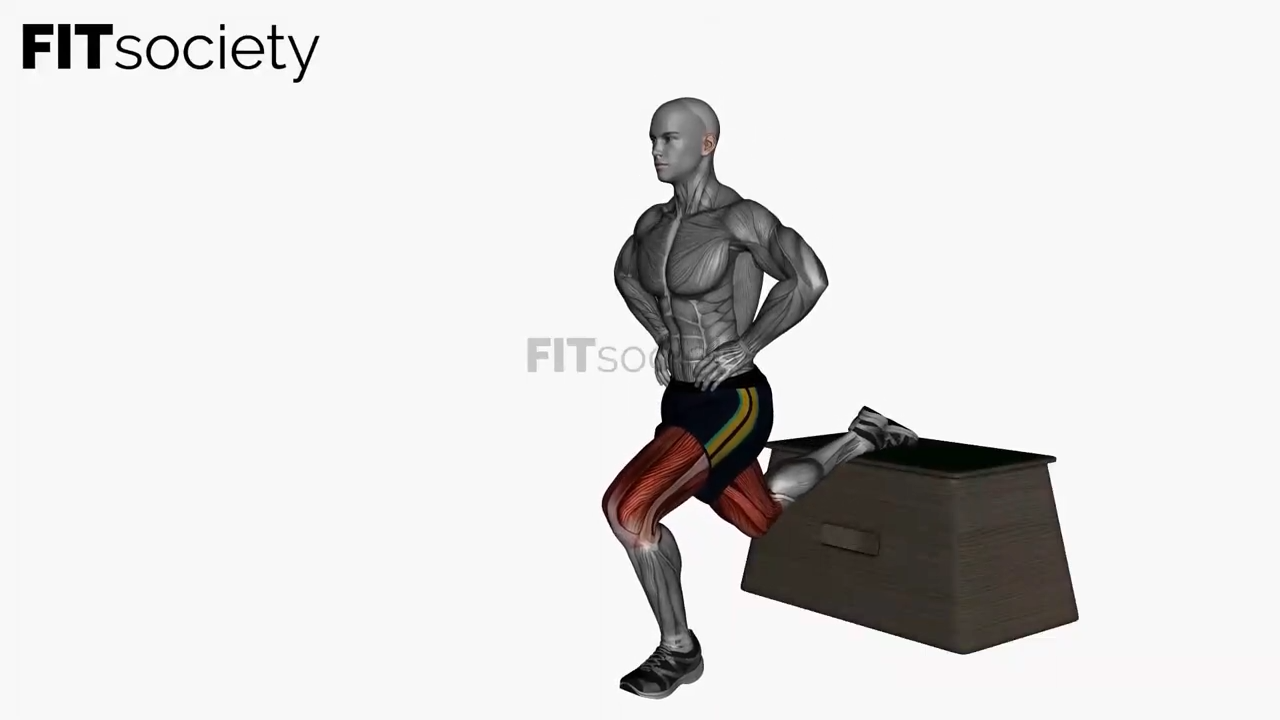 Bulgarian Split Squat Bodyweight Left