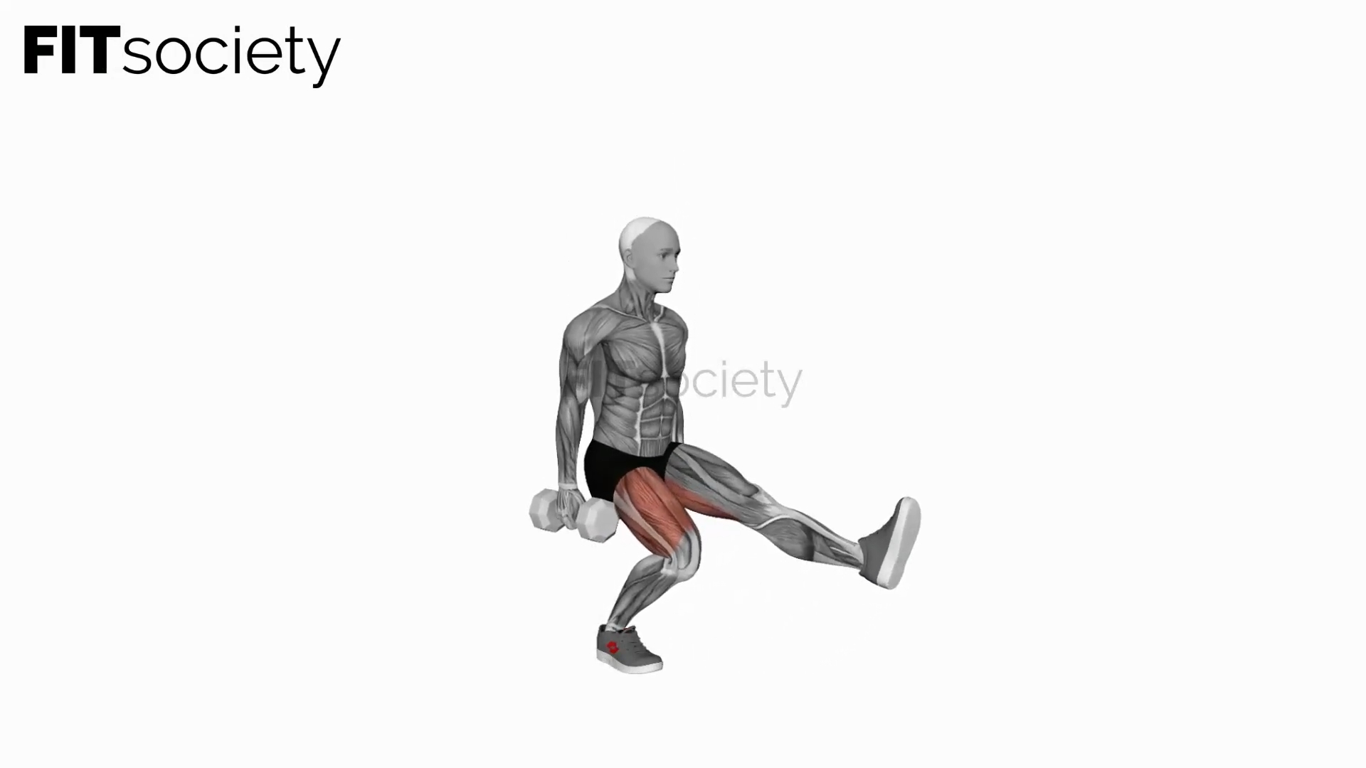 Dumbbell Single Leg Squat