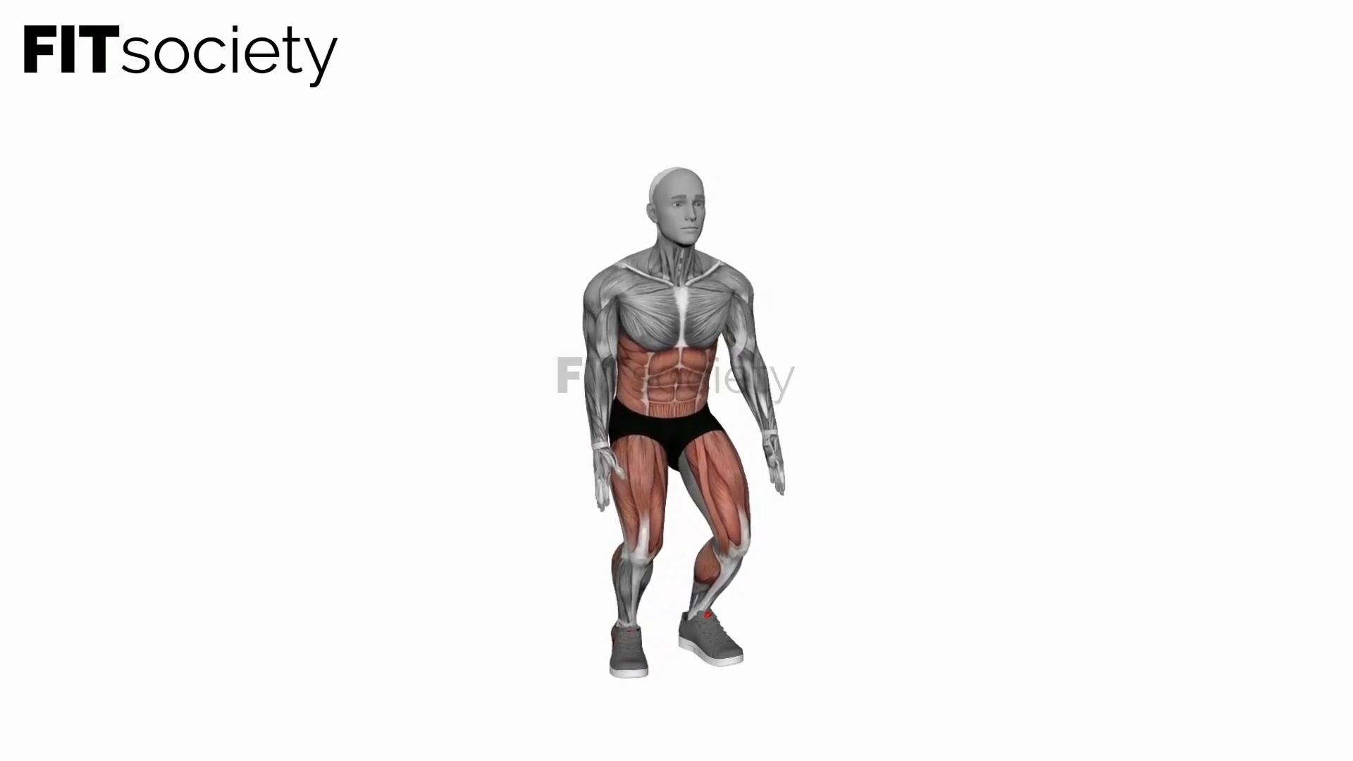Bodyweight Squat To Side To Front Leg