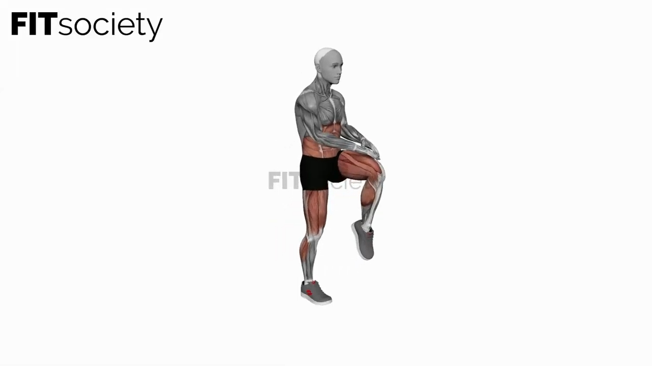 Bodyweight Knee Thrust
