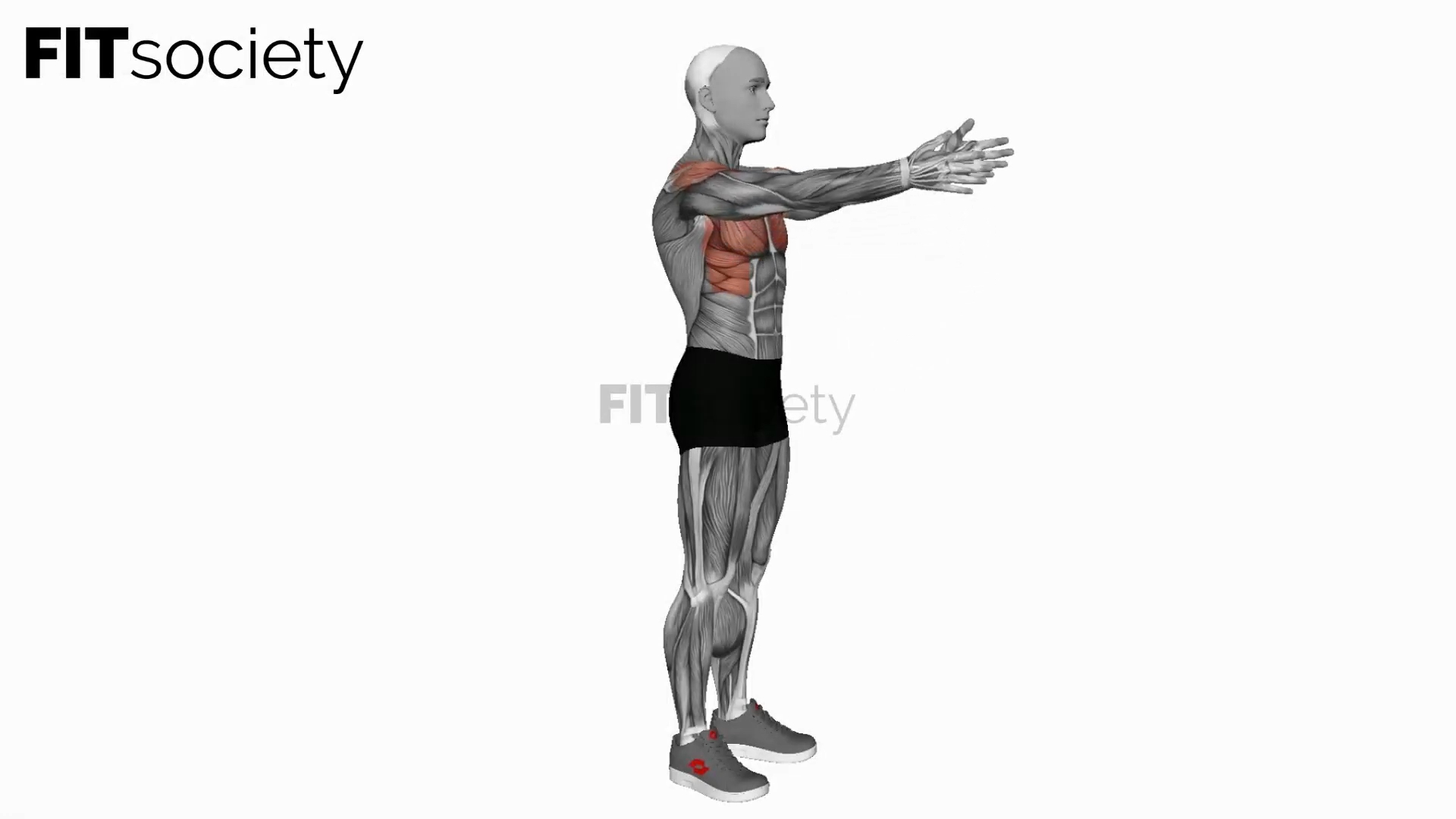 Criss Cross Arms Lift