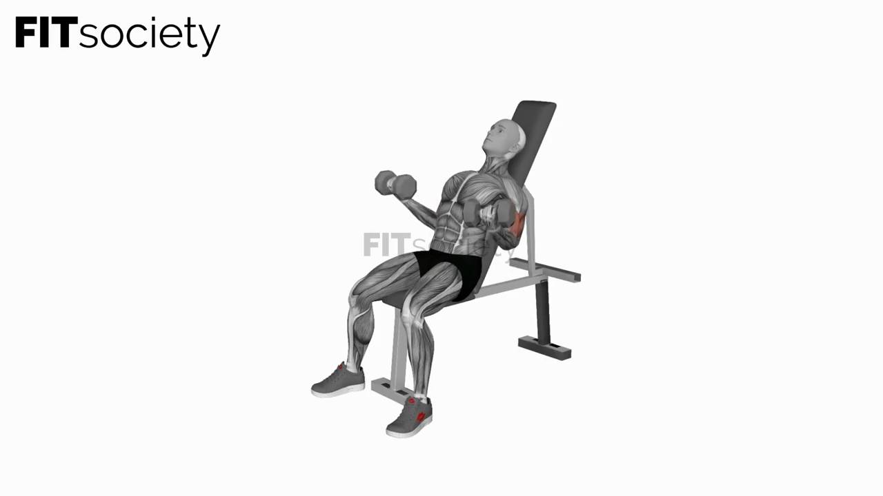 Dumbbell Incline Simultaneous Curl