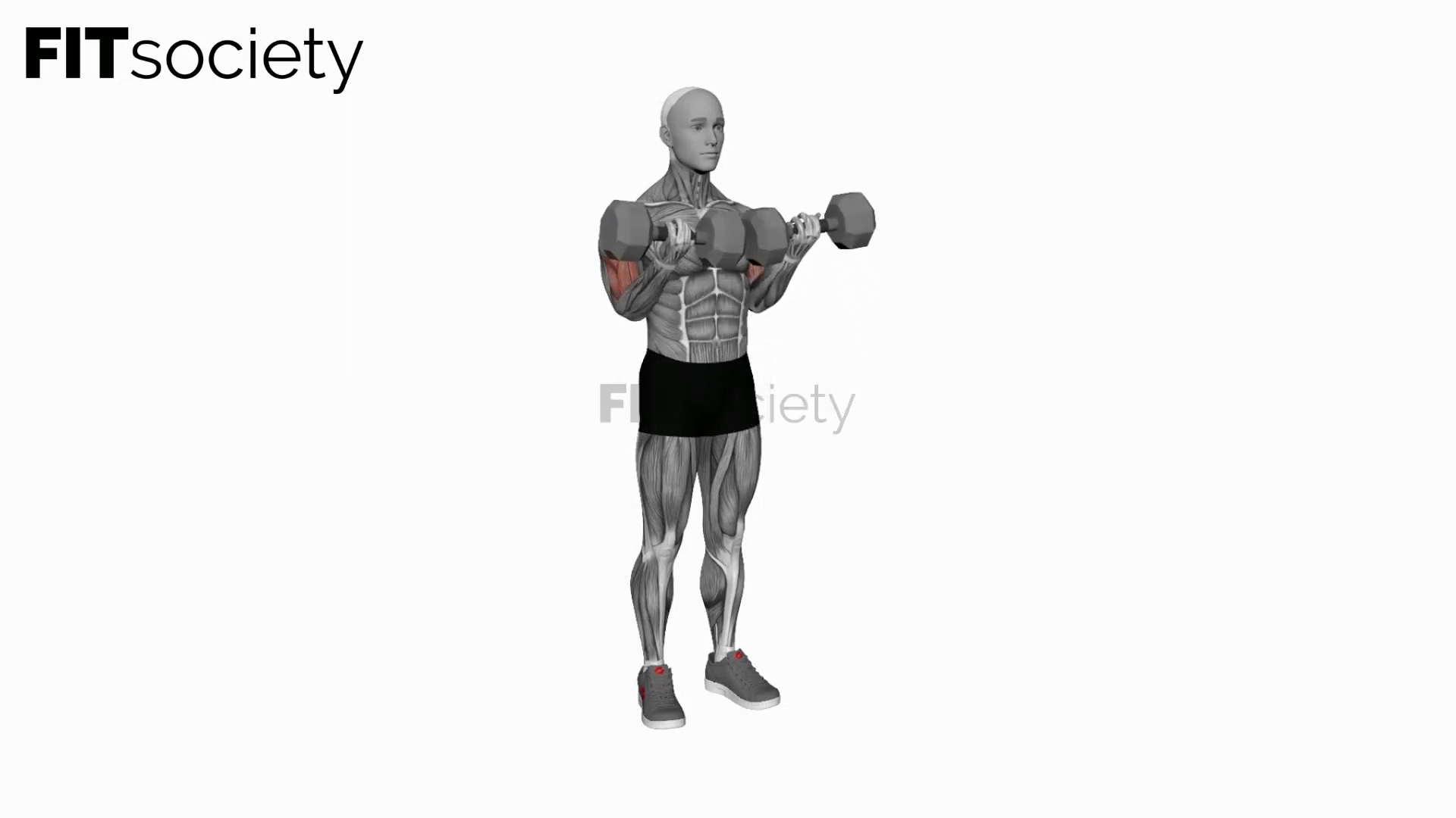 Dumbbell Close-Grip Simultaneous Curl