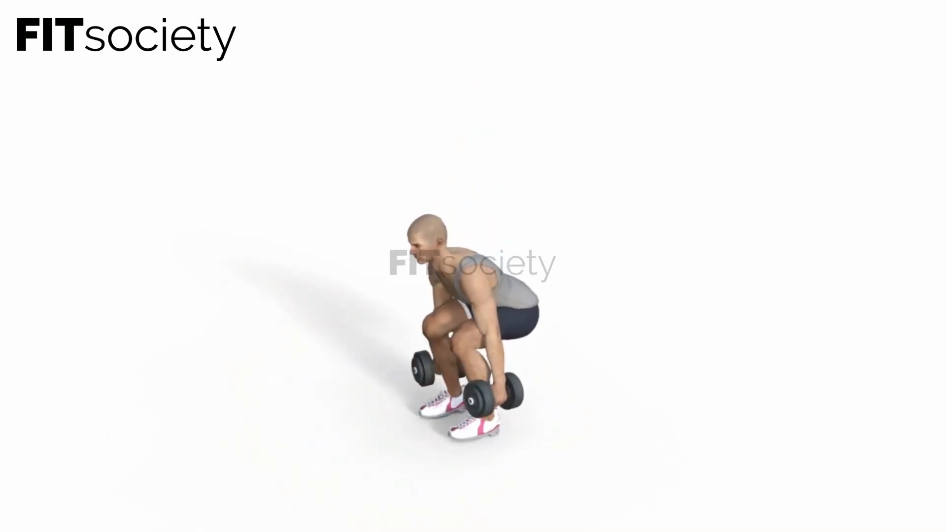 Dumbbell Side Bends V2