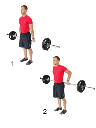 Barbell Rear Delt Raise