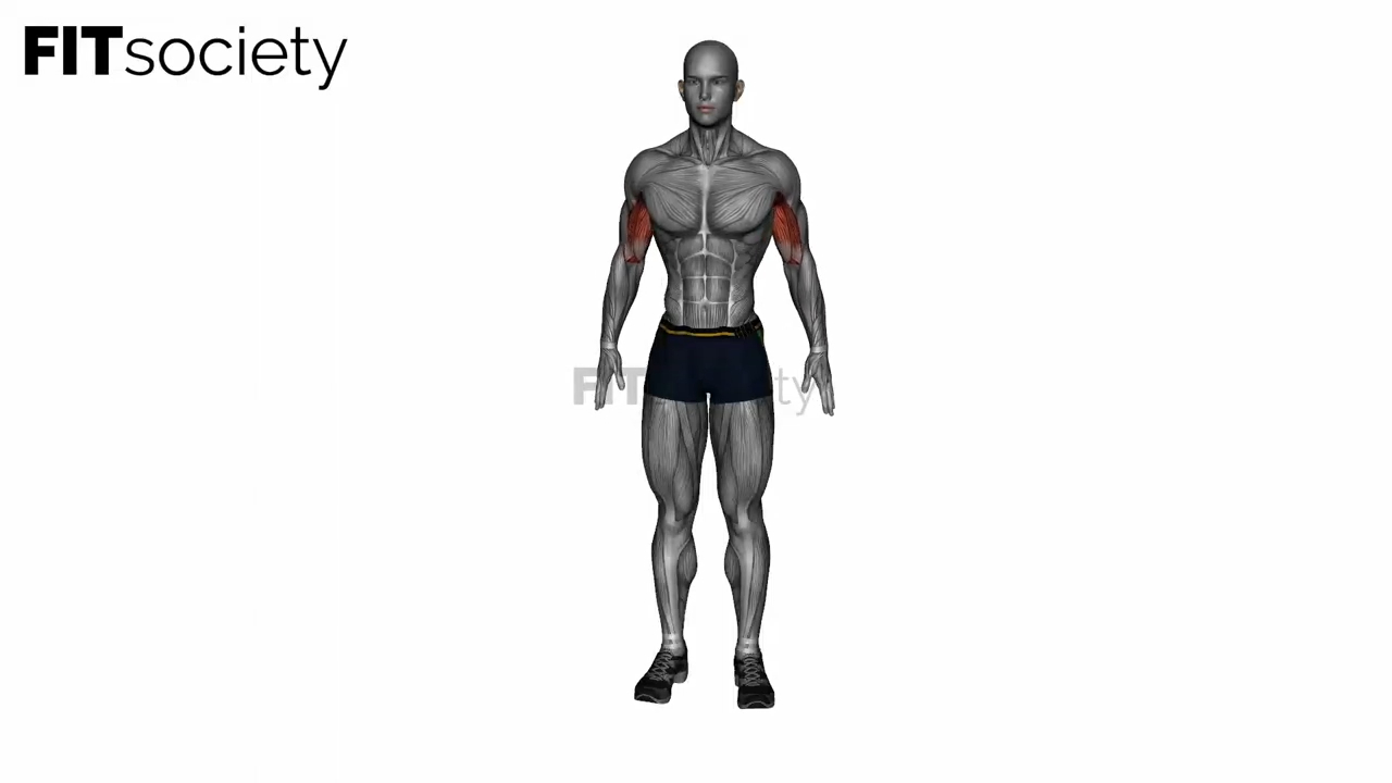 Biceps Stretch Behind The Back