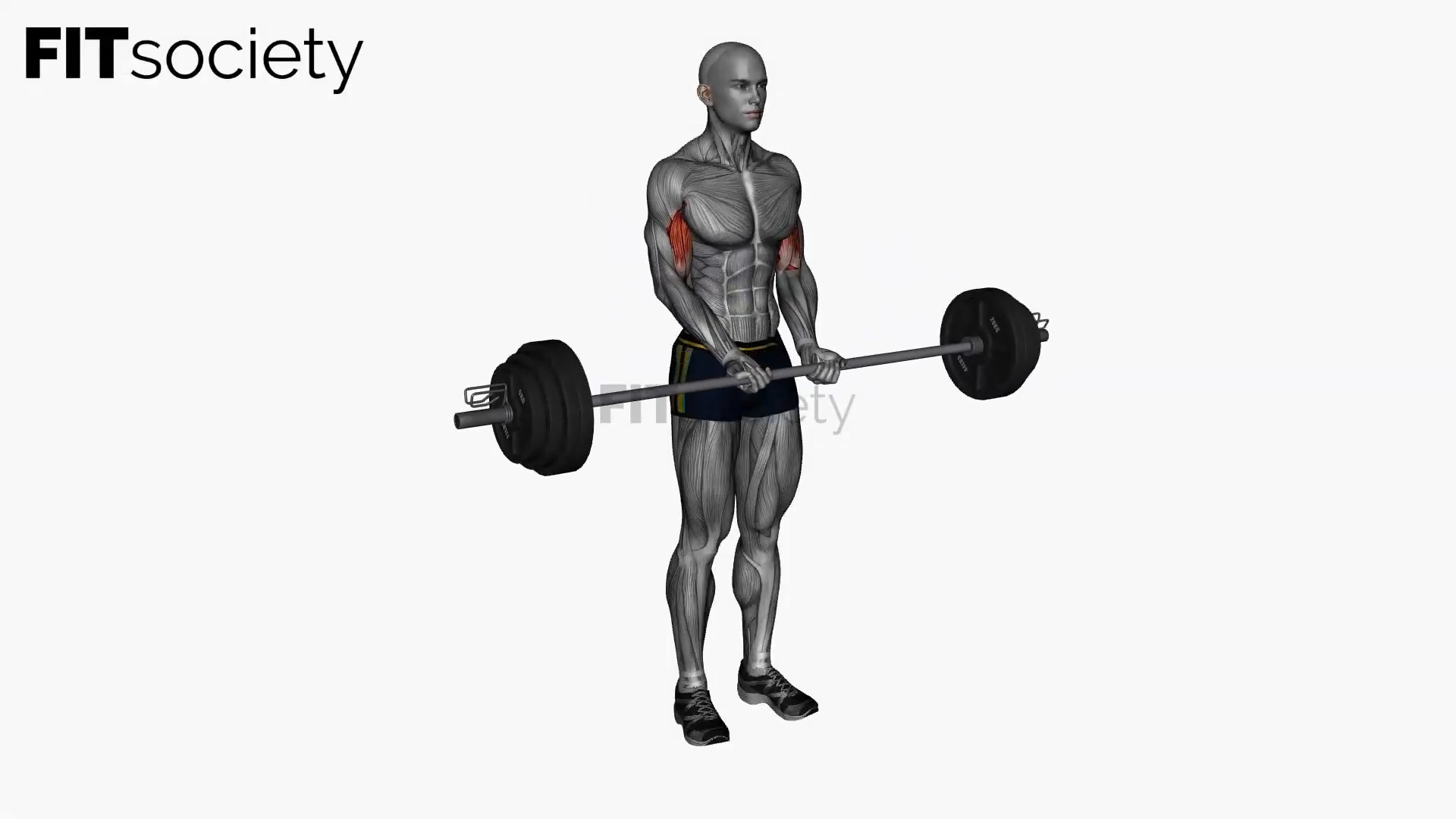 Close-Grip Barbell Biceps Curl
