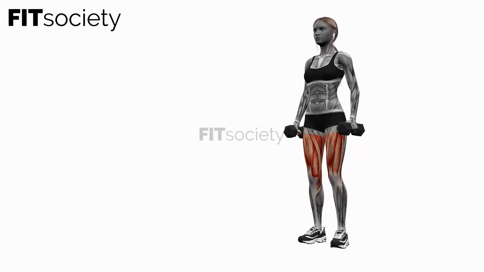 Dumbbell Narrow Stance Squats