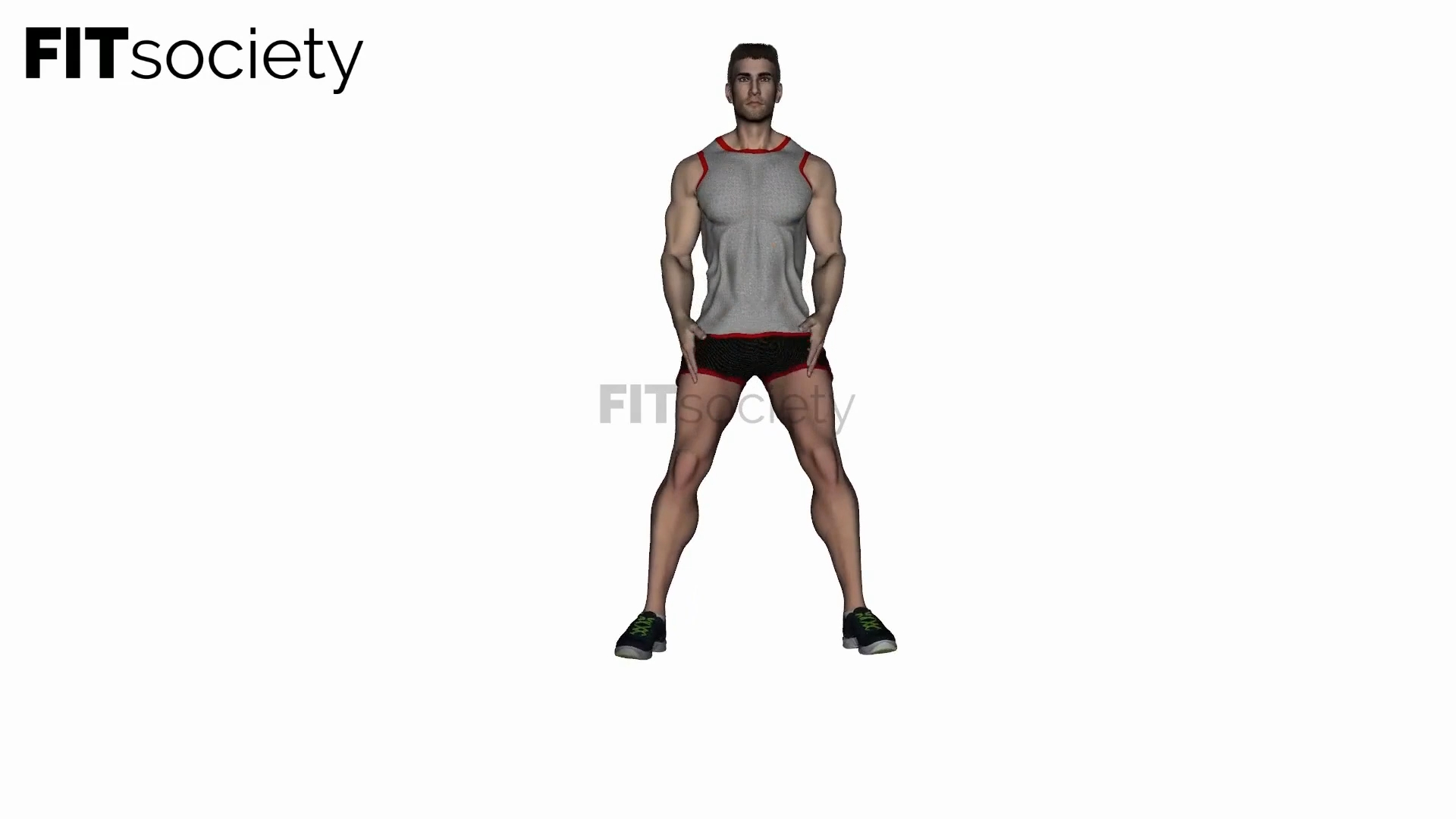 Bodyweight Sumo Squat