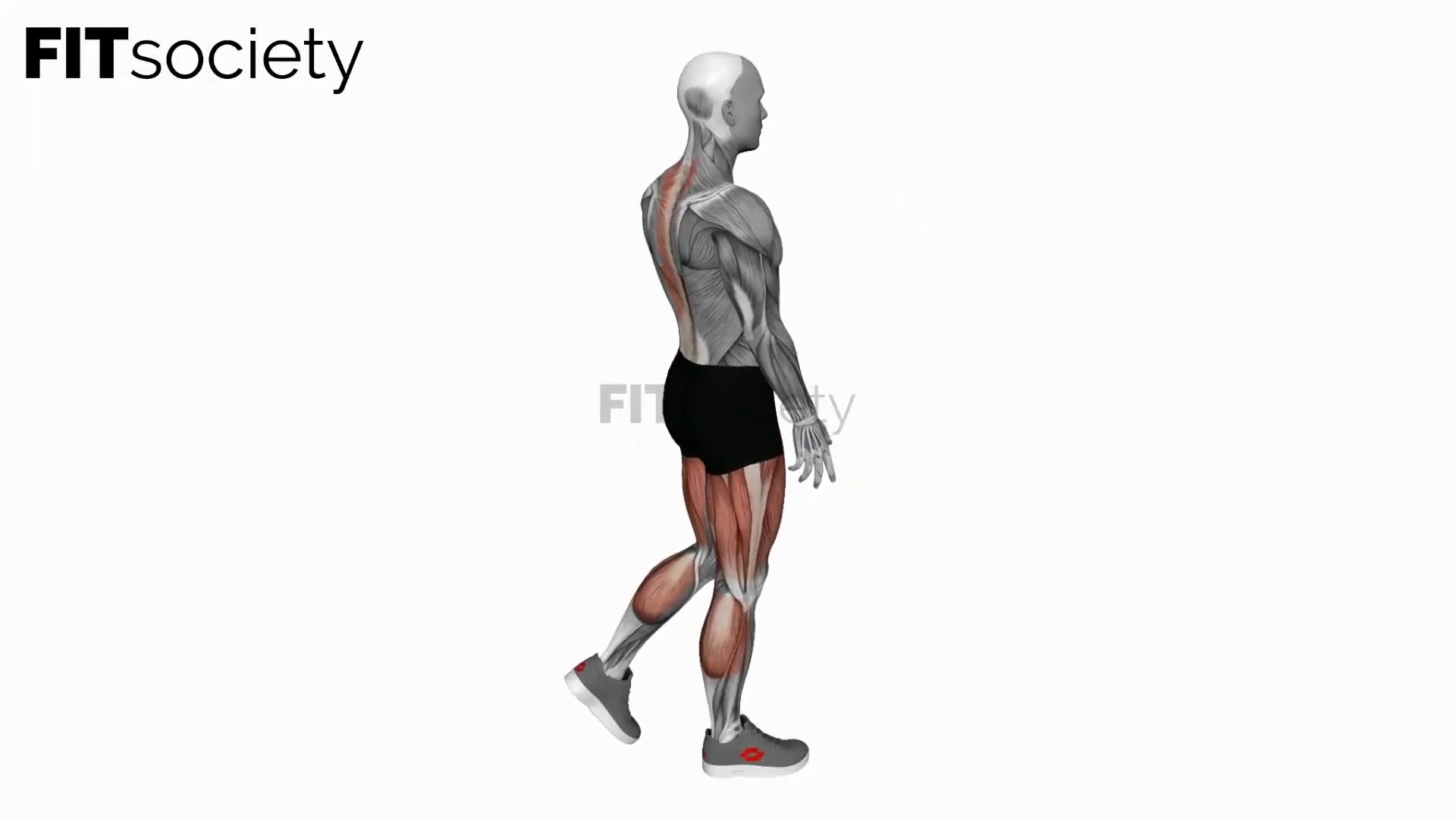 Bodyweight Single Leg Deadlift
