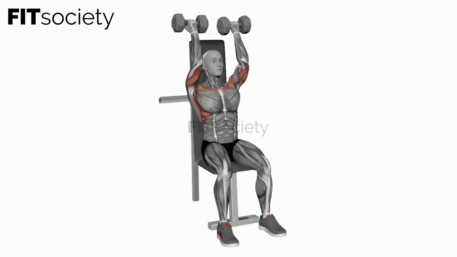 Dumbbell Seated Close Grip Press