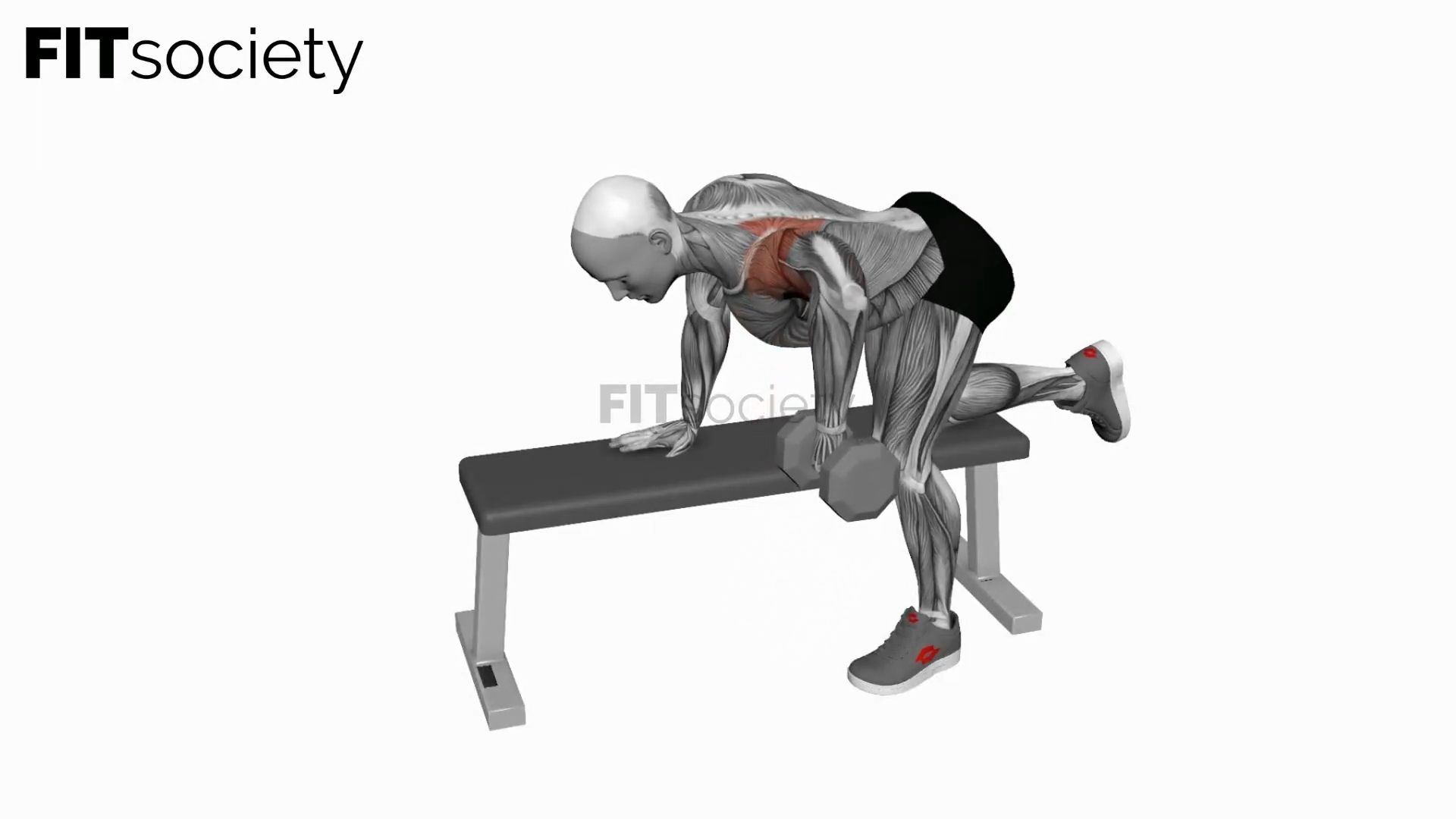 Dumbbell Rear Delt Row
