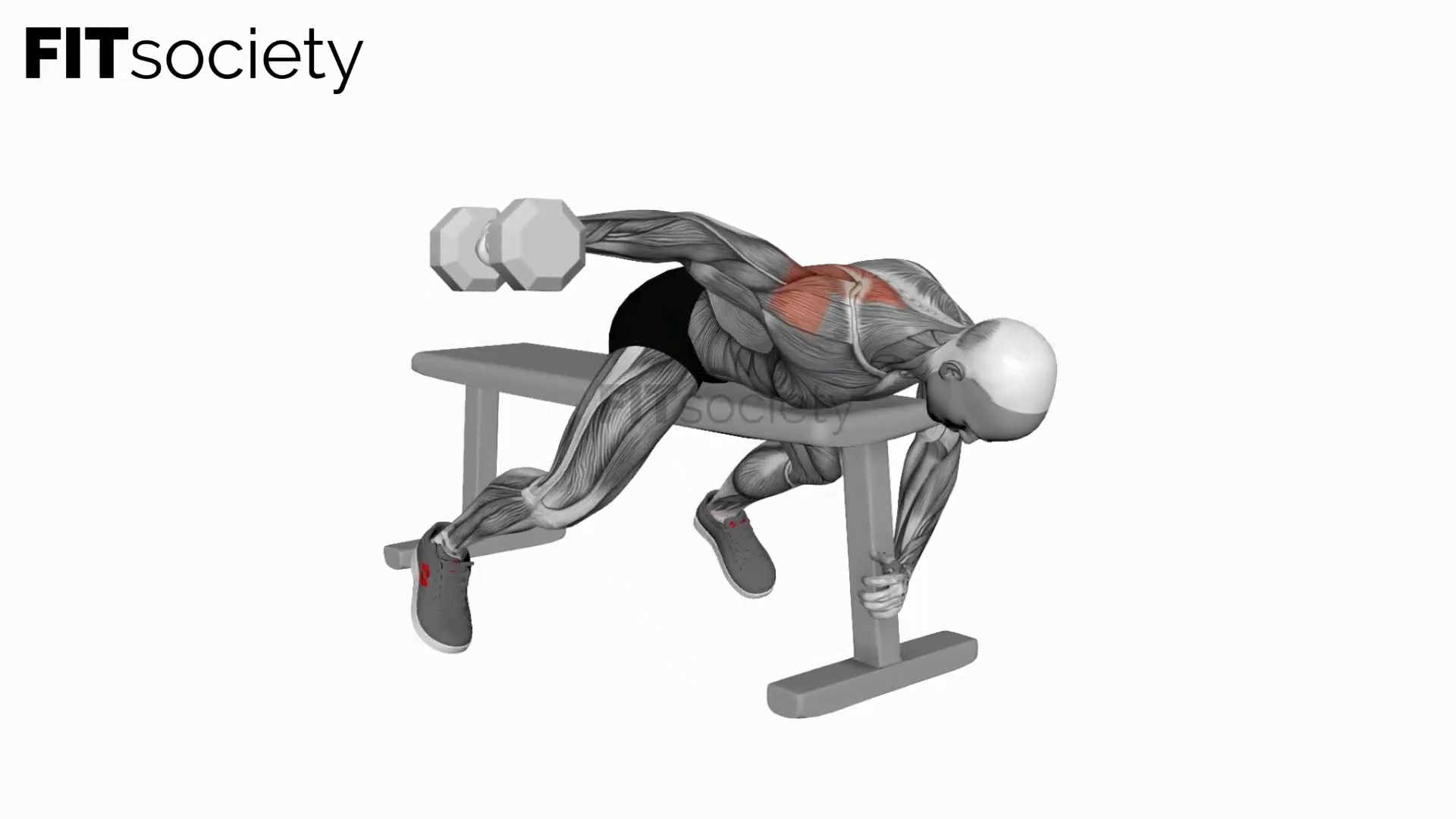 Elevación lateral posterior con un brazo y mancuerna en decúbito lateral