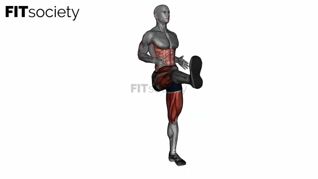Lunge Front Kick