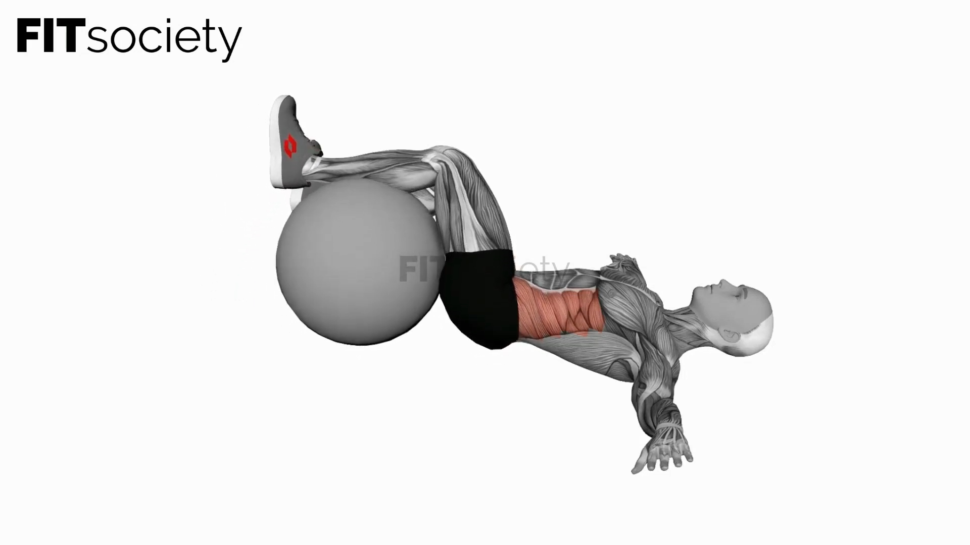 Bent Knee Lying Twist (On Stability Ball)
