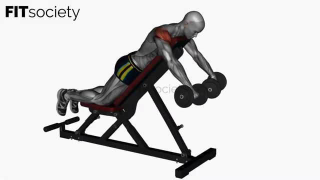 Prone Rear Delt Fly on Bench