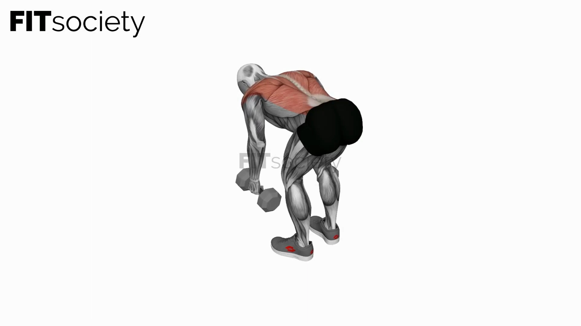 Dumbbell Bent-Over Row