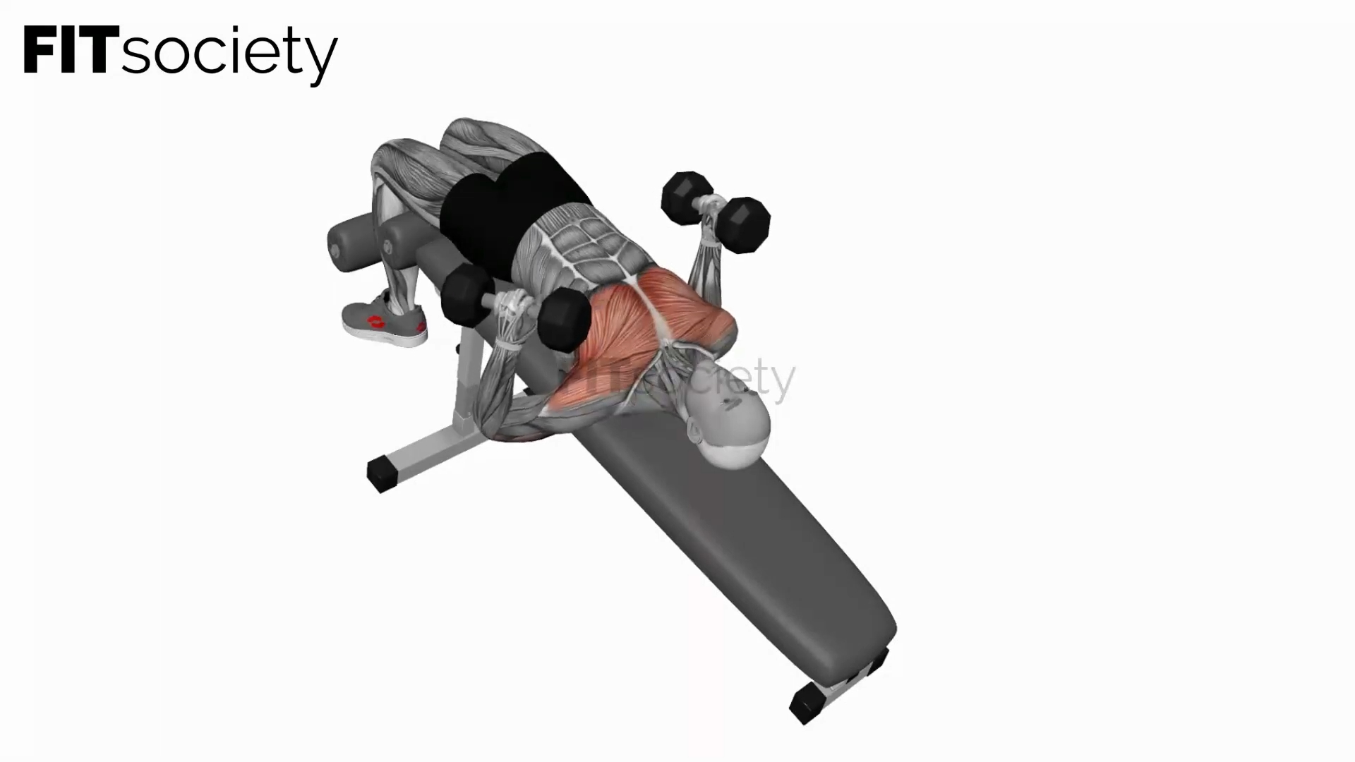 Dumbbell Decline Hammer Press