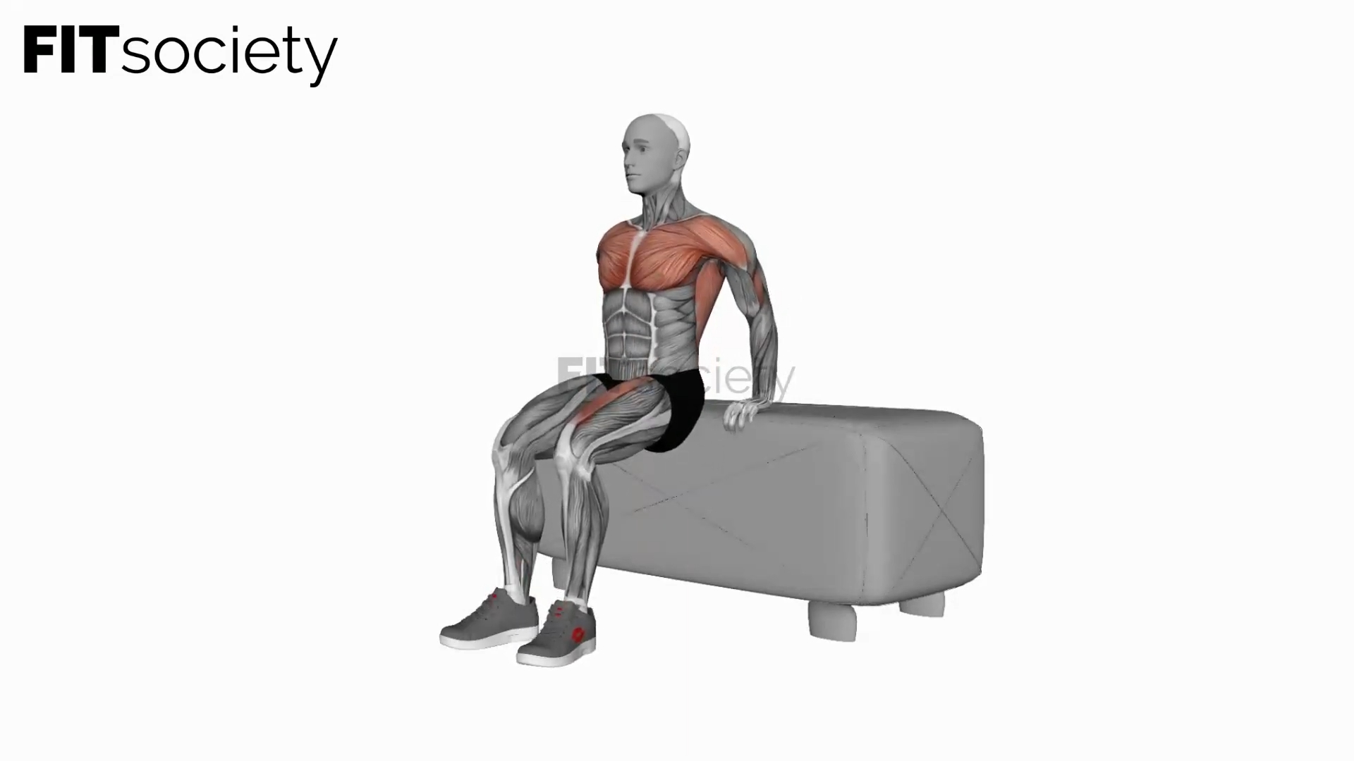 Dip Leg Raise on Bench