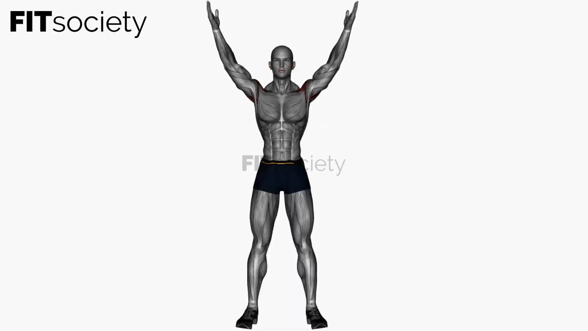 Standing Y Raise
