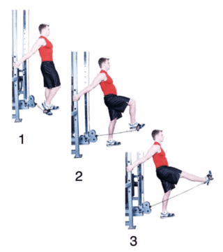 Cable Leg Extension